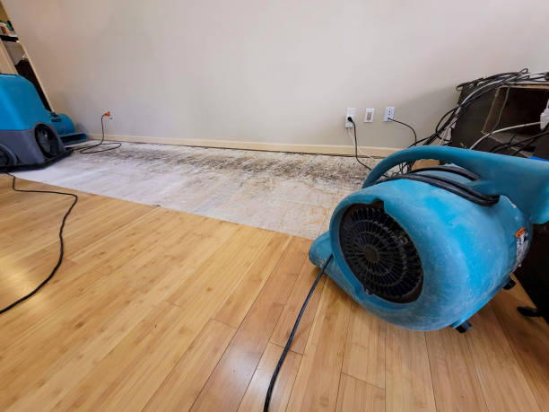 Professional Water Damage Repair technician working in Elmwood Park, IL